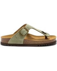 Scholl - Schoenen ,Groen ,Anais Sue - Lyst