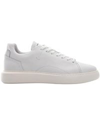 Ambitious - Eclipse schnürsneaker - Lyst