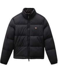 Dickies - Jackets > Down Jackets - Lyst