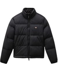 Dickies - Jackets > Down Jackets - Lyst