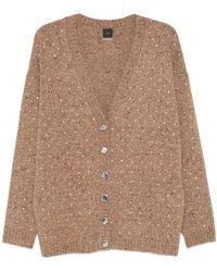 Pinko - Truien & Vesten ,Bruin ,Stijlvolle Sweaters Collectie - Lyst