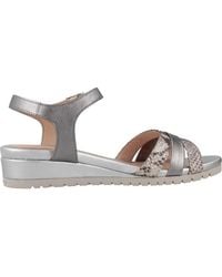 Stonefly - Schoenen ,Grijs ,Leer Slang Reliëf Leren Sleehakken - Lyst