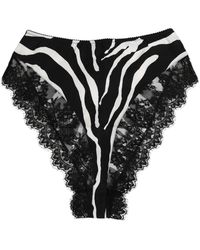 Dolce & Gabbana - Zebra Print Kant Taille Ondergoed - Lyst