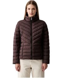 DKNY - Gewatteerde Jas - Lyst
