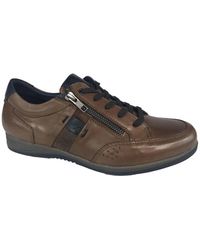 Fluchos - Stilvolle Schnürschuhe - Lyst