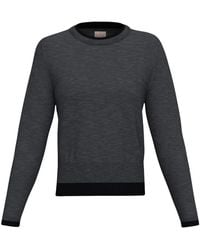 Marella - Truien & Vesten ,Grijs ,Wol Ronde Hals Trui Van Wol Met Contrasterende Bies - Lyst