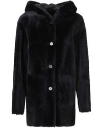 Arma - Jassen ,Blauw ,Faux Fur & Shearling Jassen - Lyst