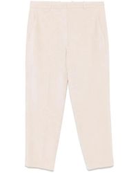 Circolo 1901 - Cropped Trousers - Lyst