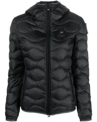 Blauer - Jassen ,Zwart ,Leer Camelia Wave Gewatteerde Jas - Lyst