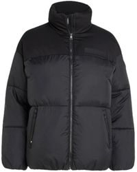 Tommy Hilfiger - Jassen ,Zwart ,Nylon Korte Gewatteerde Donsjas - Lyst
