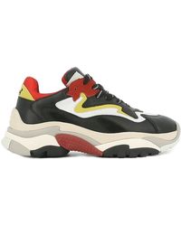 basket ash homme
