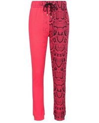 Roberto Cavalli - Sweatpants - Lyst