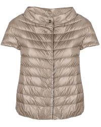 Herno - Donsjack Met Korte Mouwen - Lyst