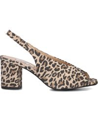 Notre-v - Schoenen ,Veelkleurig ,Leer Elegante Slingback Schoenen Met Panterprint - Lyst