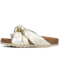 Verbenas - Sliders - Lyst