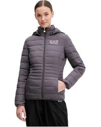 EA7 - Gewatteerd Jack - Lyst