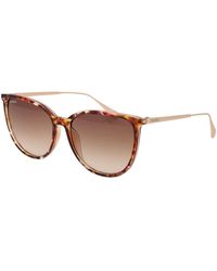 MAX&Co. - Braune Schmetterling Sonnenbrille Damen - Lyst
