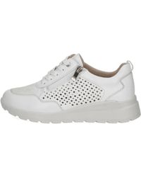 Caprice - Modische Sneaker - Lyst