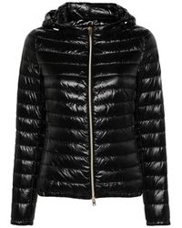 Herno - Jassen ,Zwart ,Gewatteerd Gewatteerd Jack Met Afneembare Capuchon - Lyst