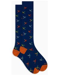 Gallo - Lange Baumwollsocken Für Damen Mit Blauem Papageienmuster - Lyst