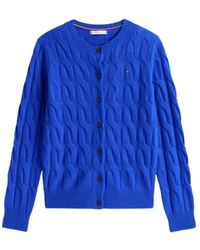 Tommy Hilfiger - Truien & Vesten ,Blauw ,Truien - Lyst