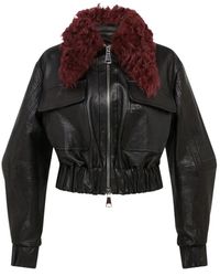 16Arlington - Jassen ,Zwart ,Leer Cie Jacket - Lyst