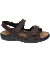 SOLIDUS - Special 78059-00602 - Lyst