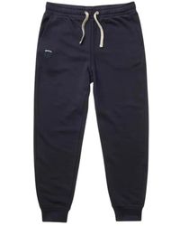 Blauer - Broeken ,Blauw ,Ss 3626 Trainingsbroeken - Lyst