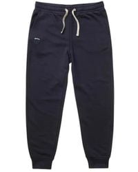Blauer - Sweatpants - Lyst