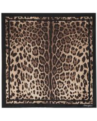 Dolce & Gabbana - Winter Scarves - Lyst