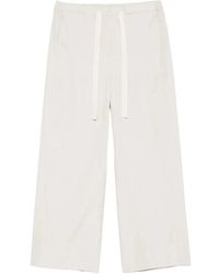 Max Mara - Broeken ,Grijs ,Katoen Argento Broeken - Lyst