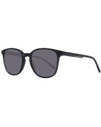 Hackett - Acetate Sunglasses - Lyst