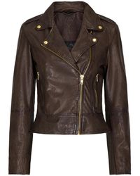 Notyz - Bikerjas Amandelbruin Goud Acc - Lyst