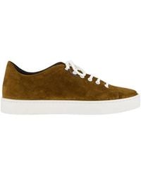 Manolo Blahnik - Bruine Suède Lage Sneakers - Lyst