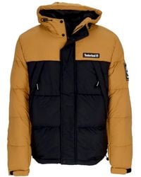 Timberland - Winter Jackets - Lyst