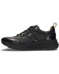 Salamander - Low Sneaker - Lyst