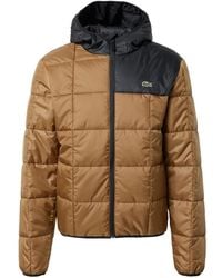 Lacoste - Plumífero y acolchado - Lyst
