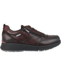 Pikolinos - Brauner Ledersneaker Mit Reißverschluss - Lyst