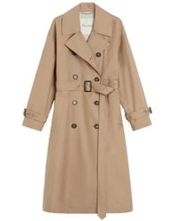 Max Mara - Jassen ,Bruin ,Katoen Waterdichte Katoenen Trenchcoat Met Riem - Lyst