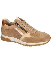 Fluchos - Schoenen ,Bruin ,Suède Louis - Lyst