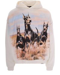 Represent - Hoodies & Sweatvesten ,Veelkleurig ,Katoen Hoodies - Lyst