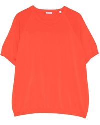 Aspesi - Kleding. Koraalrood - Lyst