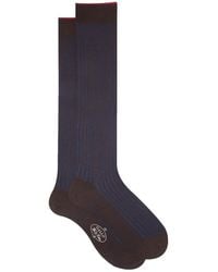 Gallo - Socks - Lyst
