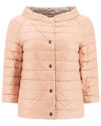 Herno - Jassen ,Roze ,Roze Gewatteerde Boothalsjas - Lyst