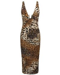 Roberto Cavalli - Kleedjes ,Bruin ,Jaguar Print Jurk Bruin Vrouw - Lyst