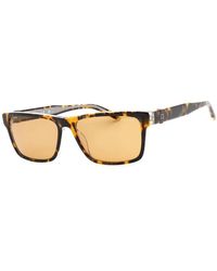 Guess - Braune resin sonnenbrille mit braunem zifferblatt - Lyst
