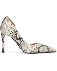 Kazar - Schoenen ,Veelkleurig ,Leer Pumps Met Slangenprint - Lyst