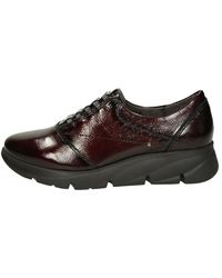 Fluchos - Sneakers - Lyst