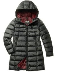 Blauer - Parkas - Lyst
