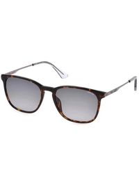 Police - Sunglasses - Lyst